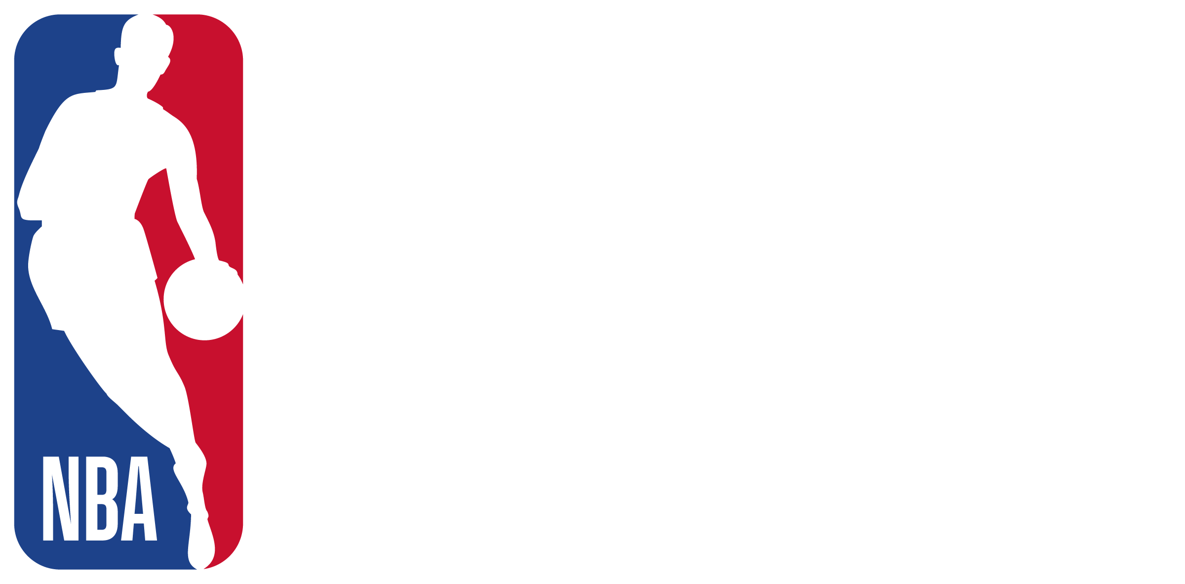 NBA Basketball School Official Logo Vertical